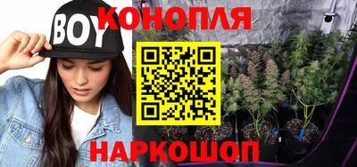 индика Новокубанск