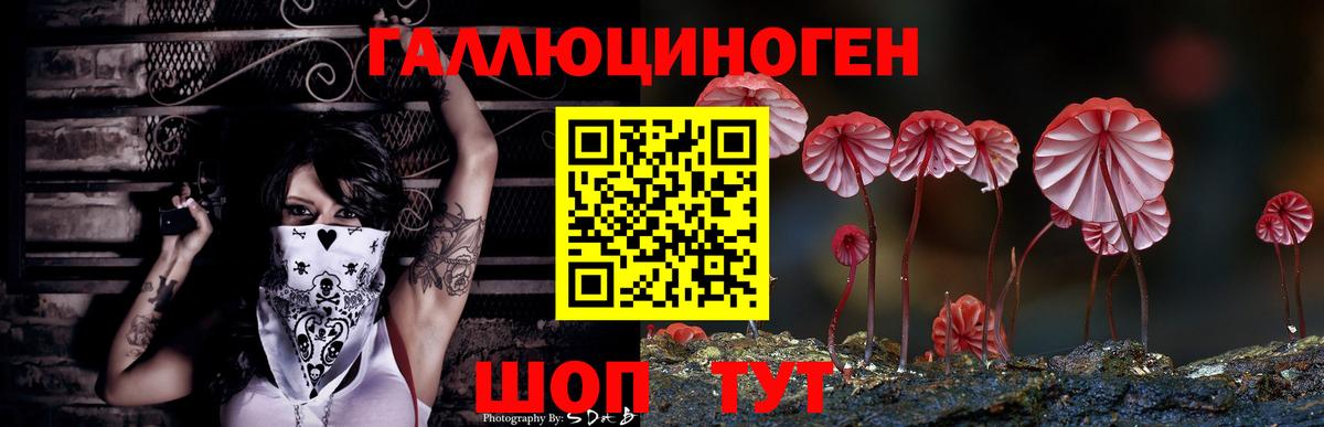 Галлюциногенные грибы Psilocybine cubensis  Псилоцибиновые грибы мухоморы  купить наркоту  Хабаровск  Вход с VPN 